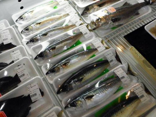 漁港直送魚介類