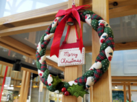 来月はクリスマスの装いで、お客様をお迎えできればと思います。