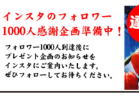 【達成しました！】インスタのフォロワー 1000人感謝企画！フォロワー1000人到達特別企画を開催！